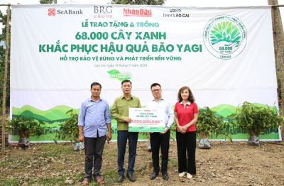 SeABank và Tập đoàn BRG chung tay trồng 68.000 cây phủ xanh gần 20ha rừng tại Lào Cai