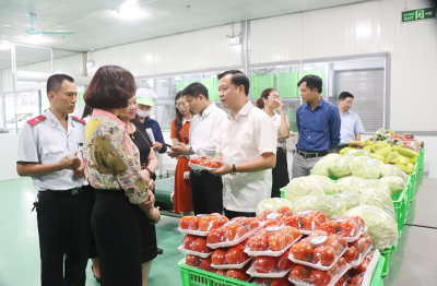 Bộ Y tế cảnh báo tình trạng mất an toàn thực phẩm gia tăng dịp Tết