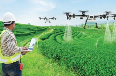 Vai trò của doanh nghiệp nhỏ và vừa trong việc bảo vệ tài nguyên thiên nhiên tại khu vực nông thôn
