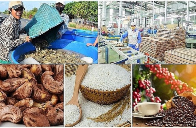 Doanh nghiệp xuất khẩu nông sản sẽ chịu thiệt hại vì thuế đối ứng của Mỹ