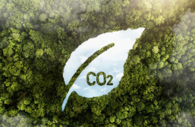 Tín chỉ carbon: Đã đến lúc doanh nghiệp nhỏ vào cuộc?