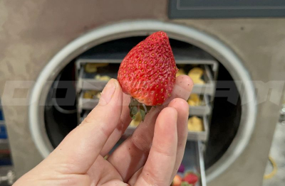 Máy sấy nông sản mini cho hợp tác xã nhỏ – Vì sao chính sách hỗ trợ vẫn chưa đến tay?