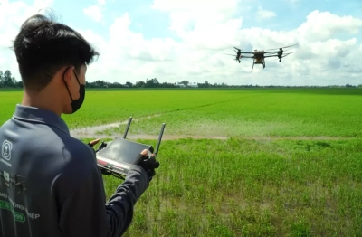 Lúa khỏe, người khỏe, chi phí giảm nhờ drone