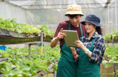 SMEs: Động lực mới cho nông nghiệp thông minh