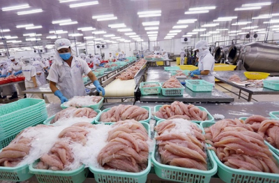 Xuất khẩu cá tra tăng 23% so với cùng kỳ năm trước