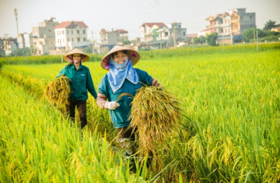 Giảm lệ thuộc hóa chất, bước chuyển tất yếu của nền nông nghiệp hiện đại