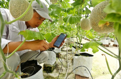 Chuyển đổi số có đang đè nặng doanh nghiệp nhỏ?