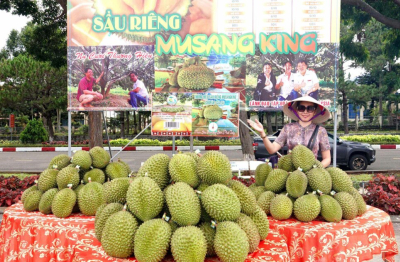 Gia Lai: Thương mại về bản, nông sản ra phố