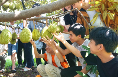 Học sinh lớp 9 trải nghiệm vườn sầu riêng hữu cơ Farmstay Sâm Phát Ialy