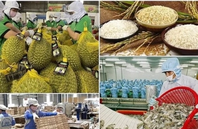 Nông lâm thủy sản và sầu riêng sẽ được ưu tiên thông quan