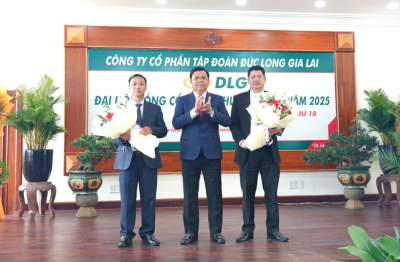DLG tiếp tục tái cấu trúc toàn diện, đẩy mạnh đầu tư để bứt phá