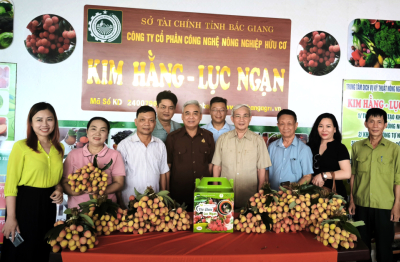 Giải bài toán tiêu thụ vải thiều: Doanh nghiệp và Hiệp hội Varisme cùng vào cuộc