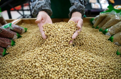 Trung Quốc nhập khẩu đậu tương đạt mức cao kỷ lục trong tháng 5/2025