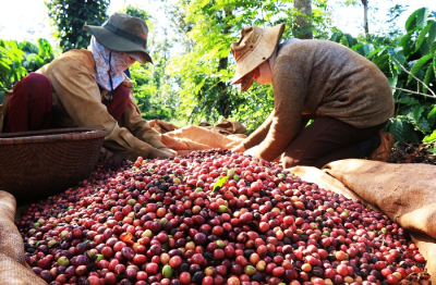 Ngành nông nghiệp tăng tốc, mục tiêu xuất khẩu 65 tỷ USD năm 2025 trong tầm tay