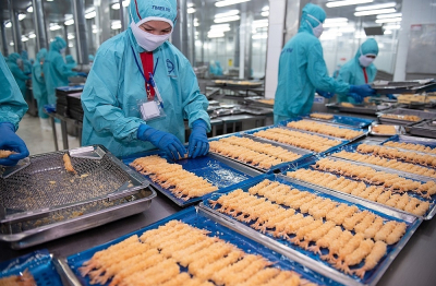 Doanh số Sao Ta tăng vọt 43% trong nửa đầu năm 2025