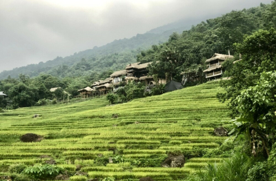 Khám phá mùa vàng trên đỉnh Pù Luông