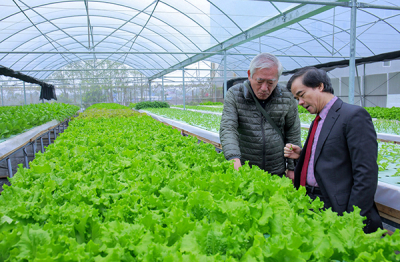 Không dễ đi đường thẳng: Những ngã rẽ của doanh nghiệp nông nghiệp
