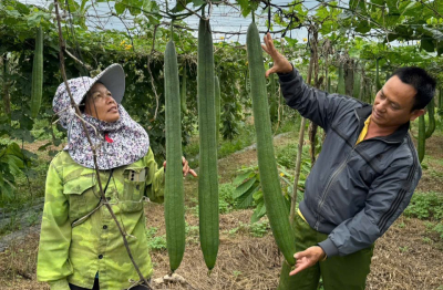 Kinh tế tuần hoàn – xu hướng tất yếu cho nền nông nghiệp hiện đại