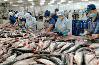 Trung Quốc vẫn dẫn đầu danh sách nhập cá tra VN