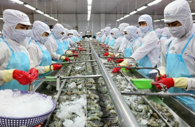 Nông, thủy sản Việt gặp khó với thuế đối ứng 20% của Mỹ