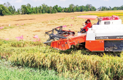 Từ quốc gia thiếu đói đến cường quốc nông sản