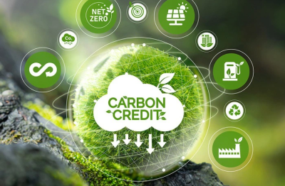 Việt Nam sắp nhận thêm 5 triệu USD từ chuyển nhượng carbon