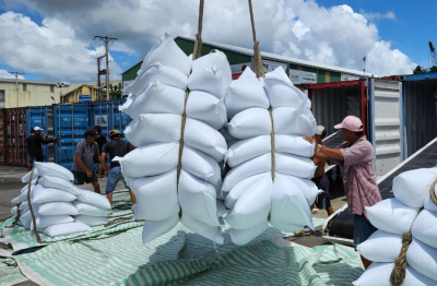 Tăng giải pháp thúc đẩy sản xuất, xuất khẩu, ổn định thị trường gạo