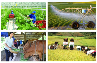 Cơ hội để nông nghiệp, nông thôn phát triển