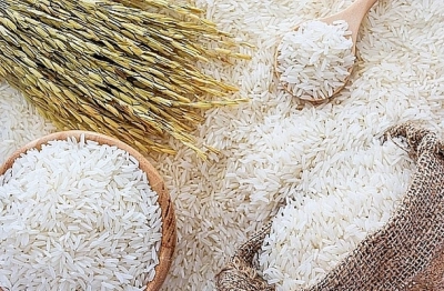 Giá gạo Thái Lan, Ấn Độ chạm mức thấp nhất trong nhiều năm