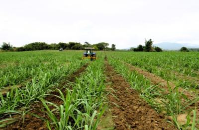 Động lực thúc đẩy kinh tế Gia Lai