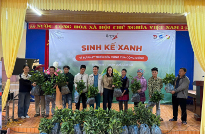 Trao 16.000 cây quế giống sinh kế đồng hành cùng các hộ gia đình khó khăn phục hồi sau bão lũ