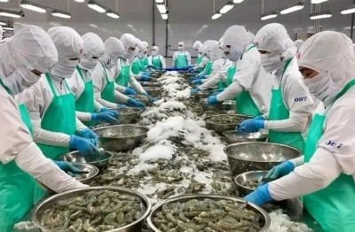 Xuất khẩu tôm quý cuối năm sẽ điều chỉnh giảm, do đâu?