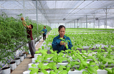 ﻿Cuộc thi khởi nghiệp nông nghiệp 2025: Khi ý tưởng công nghệ đến gần ruộng đồng