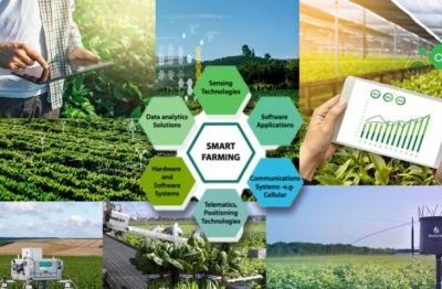 Nông sản Việt bứt phá nhờ... chuyển đổi số