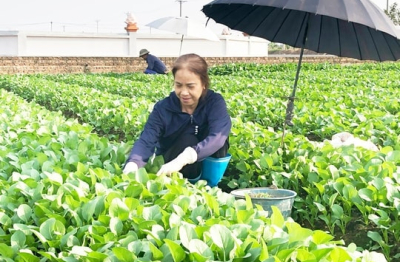 Xây dựng người nông dân Thủ đô thời kỳ mới