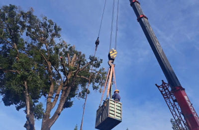 Công ty CP Công trình Đô thị Gia Lai: Hoàn tất ứng phó cơn bão số 13, duy trì trực 24/24
