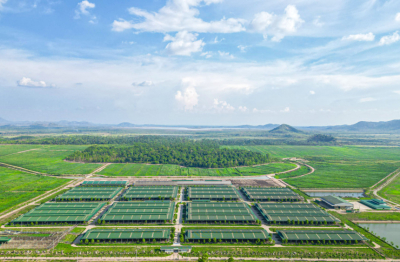 Chủ tịch tỉnh Gia Lai làm việc với THACO AGRI, bàn giải pháp gỡ vướng cho dự án nông nghiệp