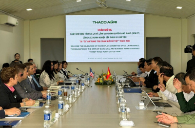 Gia Lai – Idaho (Mỹ) bắt tay phát triển bò thịt công nghệ cao