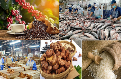 Thủ tướng chỉ đạo tập trung ưu tiên giữ vững ổn định kinh tế vĩ mô, thúc đẩy xuất khẩu