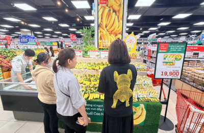 Từ ngày 21/11, nông sản xanh HAGL chính thức lên kệ hệ thống LOTTE MART