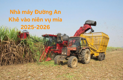 Niên vụ mía 2025-2026: Cam kết an toàn từ đồng ruộng đến nhà máy
