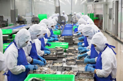 Xuất khẩu thủy sản năm nay có thể cán mốc 11 tỷ USD