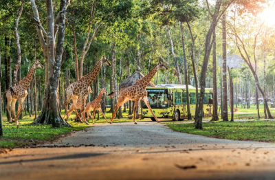 “Vùng xanh” Vinhomes Green Paradise - Món quà đầu đời vô giá cha mẹ dành cho con