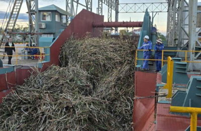 Nhà máy Đường An Khê vào vụ ép mới