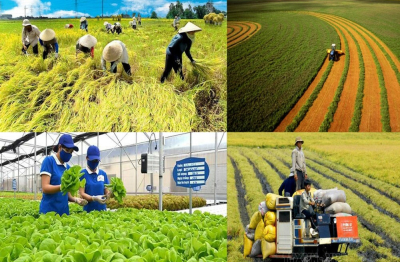 Doanh nghiệp kiến nghị cơ chế mở đường chuỗi giá trị nông nghiệp xanh