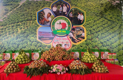 Xã Phúc Hòa đẩy nhanh tiến độ hoàn thiện hồ sơ OCOP - Khẳng định chất lượng đặc sản địa phương