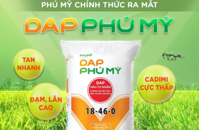 PVFCCo – Phú Mỹ chính thức ra mắt DAP Phú Mỹ, mở rộng danh mục sản phẩm và cung ứng nguồn phân bón chất lượng cao cho thị trường