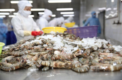 Xuất khẩu thủy sản sang Nhật tăng tốc: Việt Nam thu gần 1,6 tỷ USD trong 11 tháng