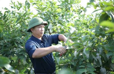 Từ phế phẩm nông nghiệp - nâng tầm thành sản phẩm OCOP