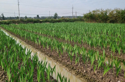 Mão Điền – Điểm sáng xây dựng nông thôn mới nâng cao